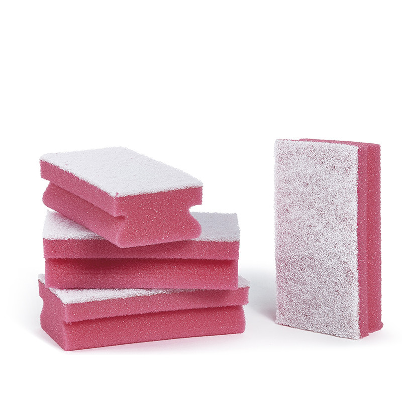 Spugne con abrasivo Pro Color . 10 pz.