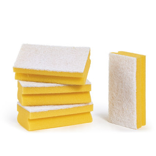 Spugne con abrasivo Pro Color . 10 pz.