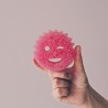 Spugna da cucina antigraffio Miss Scrubby